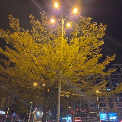 DanielB62195885