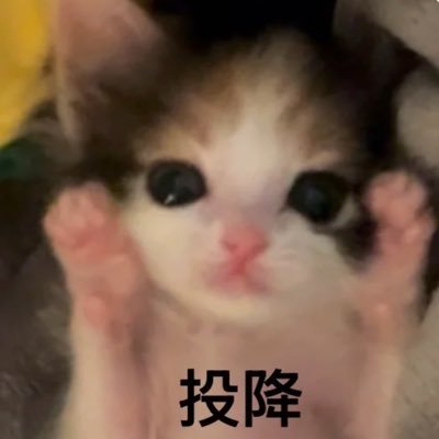 ovoyi_