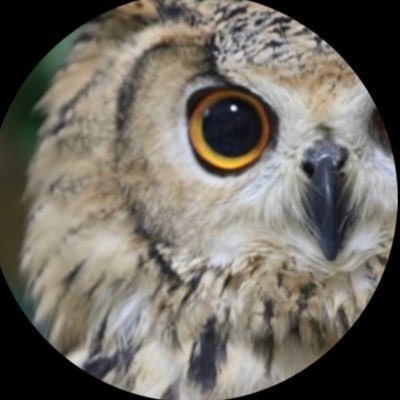apple_owls
