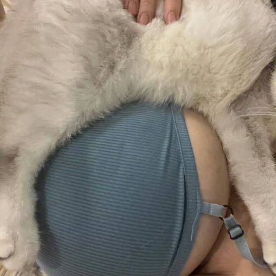 peng_li21171