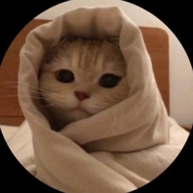 cat with confusing auras