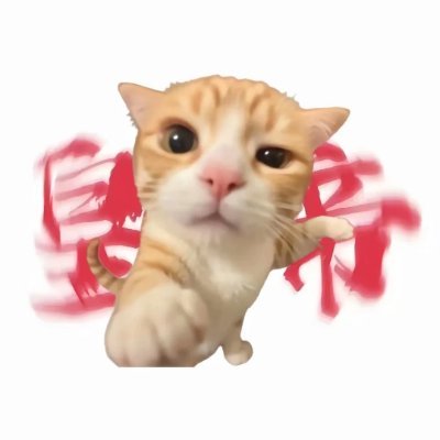 zXMaf4EJTCjp2