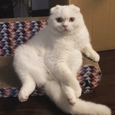 s_sekko